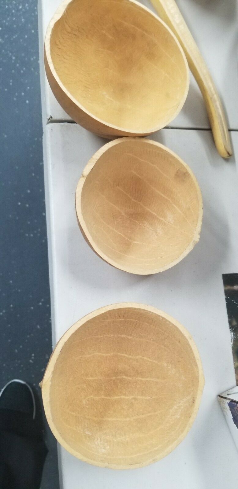 Calabash Dried Gourds $12 each